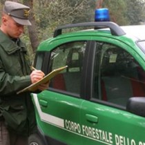 Forestali, Rifondazione sostiene la lotta contro la militarizzazione del corpo forestale