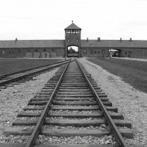 Orgoglio e Genocidio  L’etica dello sterminio nella Germania nazista