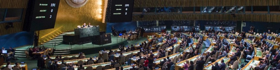Rifondazione; l’Occidente ricorda la Giornata Mondiale del Rifugiato distruggendo l’UNRWA