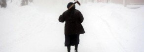Incuria e abbandono la catena delle responsabilità
