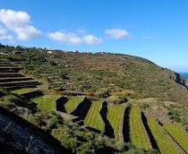 Parchi, Prc: «Proposta di riforma sciagurata, duro colpo ad anni di battaglie dei cittadini per tutelare l’ambiente»