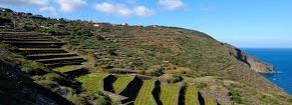 Parchi, Prc: «Proposta di riforma sciagurata, duro colpo ad anni di battaglie dei cittadini per tutelare l’ambiente»