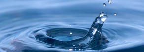 Tutte e tutti siamo il Forum italiano dei Movimenti per l’acqua