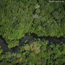 Brasile: i golpisti all’assalto dell’Amazzonia. Il neoliberismo minaccia il polmone del pianeta