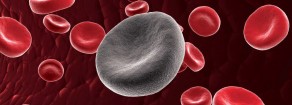 Leucemia di classe