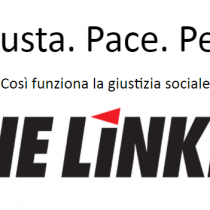 Elezioni Germania: il programma di Die Linke