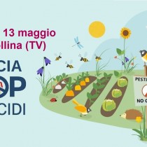 Note sull’inquinamento da pesticidi in Italia