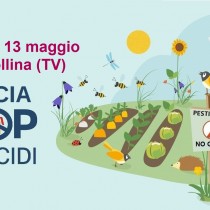 Note sull’inquinamento da pesticidi in Italia