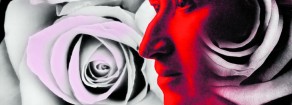 La Rosa rossa 1919-2019. Una vita intensa e troppo breve