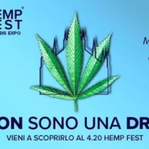 Hemp Fest, Acerbo: “La sinistra vuole legalizzare la cannabis. Stop proibizionismo”