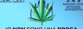 Hemp Fest, Acerbo: “La sinistra vuole legalizzare la cannabis. Stop proibizionismo”