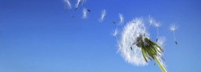 Il caso di Rosa Maria dell’Aria e la libertà d’insegnamento