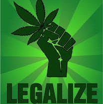Noi vogliamo legalizzare la cannabis e mettere fuorilegge razzismo e fascismo
