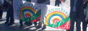 Il Movimento per la Sovranità Alimentare presenta le proposte e invita al voto per le Europee