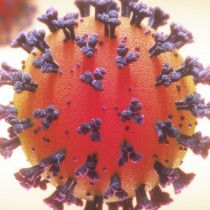 Alcune lezioni evidenti dall’epidemia del coronavirus