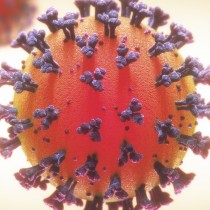 CONSIGLI PER LAVORATORI AI TEMPI DEL CORONAVIRUS