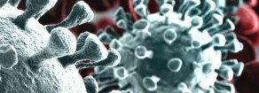 Coronavirus: basta morti! Si cambi strategia