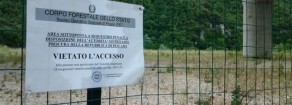 Bussi: preoccupanti dichiarazioni ministro su sentenza del Consiglio di Stato, ricominciamo da capo?