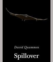 Spillover: siamo tutti responsabili