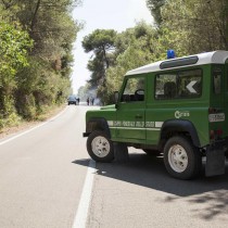 Ricostituire e demilitarizzare il Corpo Forestale dello Stato. Il Parlamento si dia una mossa per cancellare i disastri causati dalla legge Madia