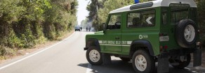 Ricostituire e demilitarizzare il Corpo Forestale dello Stato. Il Parlamento si dia una mossa per cancellare i disastri causati dalla legge Madia