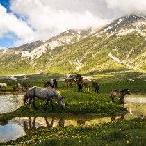 Giù le mani dal parco regionale Sirente-Velino