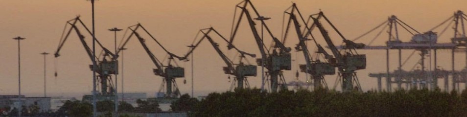EX ILVA: MELONI SMETTA DI FUGGIRE, LA FABBRICA VA NAZIONALIZZATA E DECARBONIZZATA SUBITO