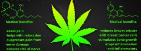 Acerbo (Prc-Se): oggi digiuno per la cannabis