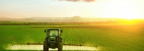 Il contadino invisibile e la strenna di Natale della Signora Ministro dell’agricoltura Bellanova