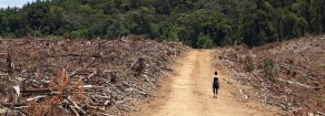 Rifondazione: Cingolani e la transizione ecologica targata Confindustria