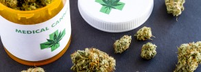 Cannabis: solidarietà di Rifondazione a Walter Di Benedetto. Basta con persecuzioni!
