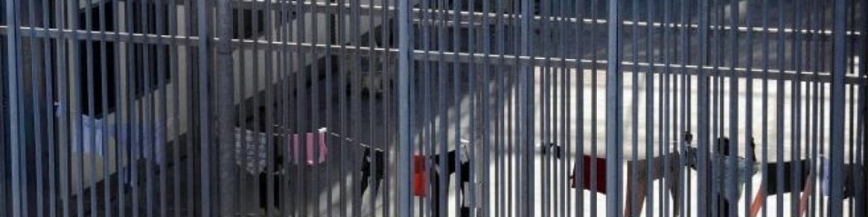 Rifondazione Comunista: Una Commissione indipendente d’inchiesta per CPR e Centri di accoglienza