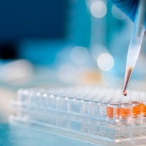 ACERBO (PRC-SE): VACCINI, 100 NOBEL CONFERMANO CHE USA E UE SBAGLIANO