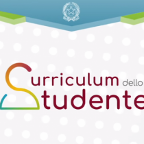 Il curriculum della disuguaglianza