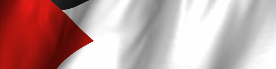 Acerbo(Prc-UP): Israele vieta la bandiera palestinese. Esponiamola noi