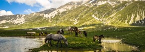 Abruzzo: barbarie tagliare 14.000 ettari del Parco Sirente Velino