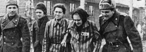 La memoria usata come politica contro la storia