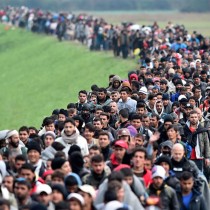 Rifondazione: Immigrazione: il click day ovvero la sagra del lavoro nero