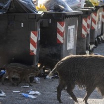 Caro Gualtieri, l’Europa non ti chiede l’inceneritore. E a sciare continueremo ad andare a Campo Felice…