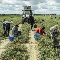 Dieci anni fa la straordinaria lotta dei braccianti marocchini di Castelnuovo Scrivia