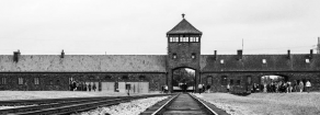 La sconfitta della giornata della memoria