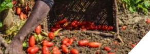 Il 6 luglio a Latina, contro omicidi sul lavoro, sfruttamento, razzismo e per abolire la Bossi Fini