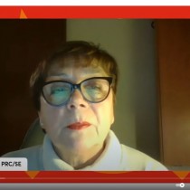 3 Fascismo e neo-fascismo, ovvero: Quanto fascismo c’è nel post-fascismo?