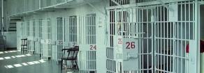 DDL sicurezza (paura) ora viene il bello!