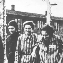 Mai più fascismo, guerra, genocidio