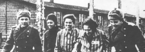 Mai più fascismo, guerra, genocidio