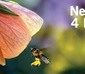 Rifondazione Ccomunista