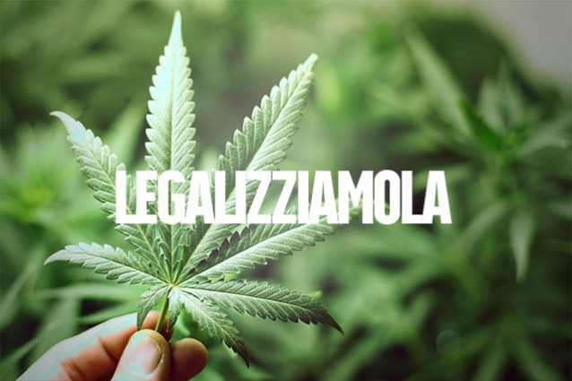 Cannabis, Ferrero: «Occasione persa da Corte. Coltivazione per uso personale non solo va legalizzata ma è essenziale per combattere le mafie e il narcotraffico»