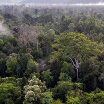 Acerbo (Prc-Se): servono alberi ma continua cementificazione