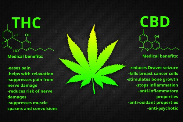 thc-cbd-cancer